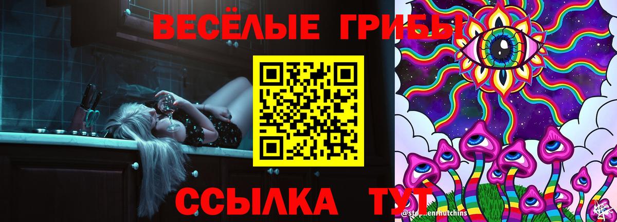 Галлюциногенные грибы Cubensis  Вход с VPN  Бугуруслан  Галлюциногенные грибы мицелий 