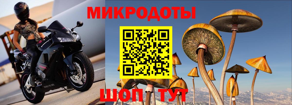 Псилоцибиновые грибы мицелий Бугуруслан
